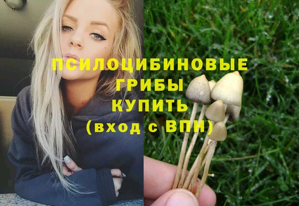 соль курить ск Алзамай